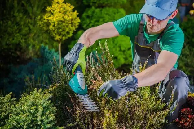 landscaping services Clarksdale